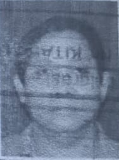 IR. F. A.MANARA LODEWIJK
